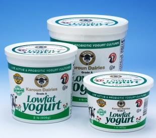 Karoun Low Fat Yogurt